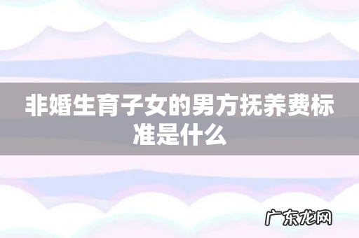 非婚生育子女的男方抚养费标准是什么