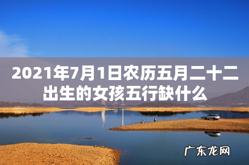 2021年7月1日农历五月二十二出生的女孩五行缺什么