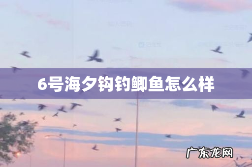 6号海夕钩钓鲫鱼怎么样