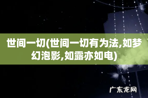 世间一切有为法,如梦幻泡影,如露亦如电 世间一切