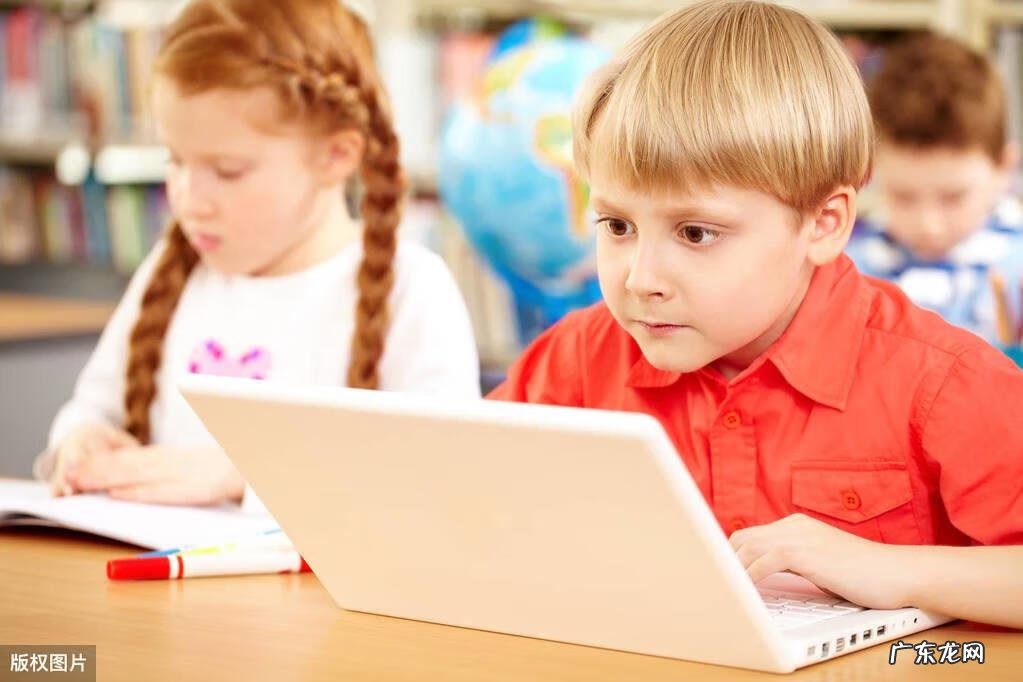 低年级识字教学心得体会 低年级识字教学策略