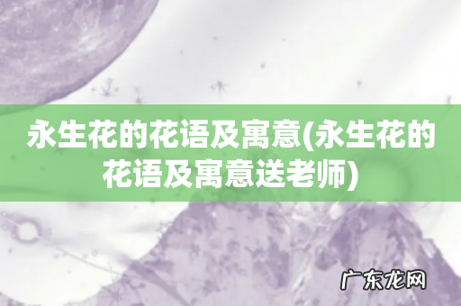 永生花的花语及寓意送老师 永生花的花语及寓意