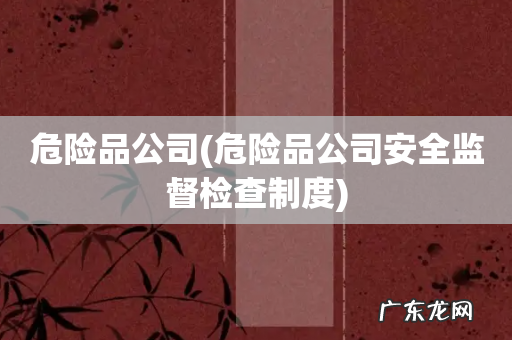 危险品公司安全监督检查制度 危险品公司