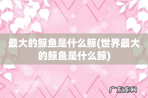 世界最大的鲸鱼是什么鲸 最大的鲸鱼是什么鲸