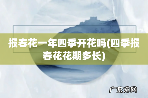 四季报春花花期多长 报春花一年四季开花吗