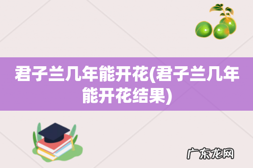 君子兰几年能开花结果 君子兰几年能开花