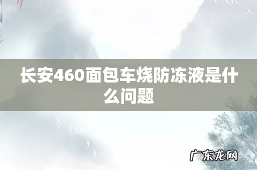 长安460面包车烧防冻液是什么问题