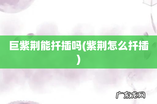 紫荆怎么扦插 巨紫荆能扦插吗