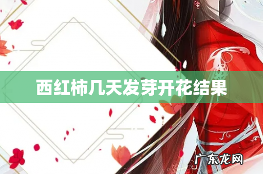 西红柿几天发芽开花结果