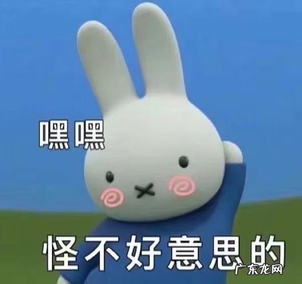 兔子有什么成语 兔子的成语有哪些