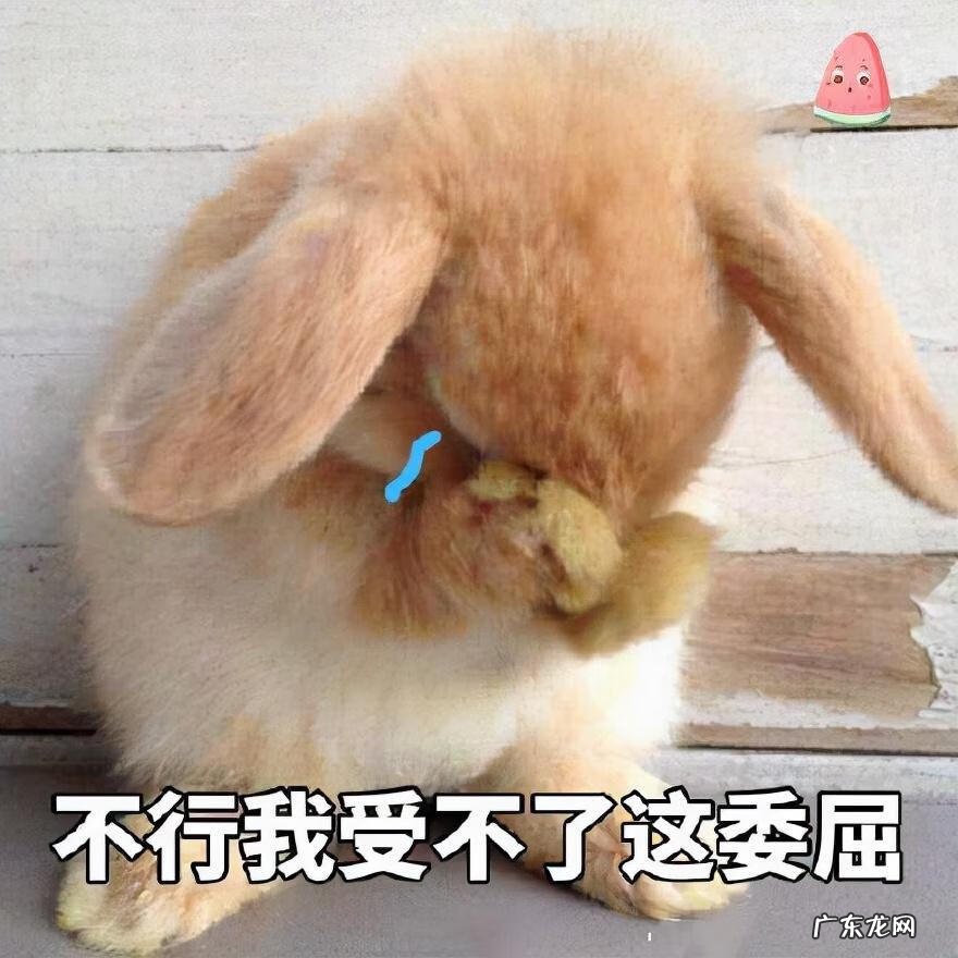 兔子有什么成语 兔子的成语有哪些