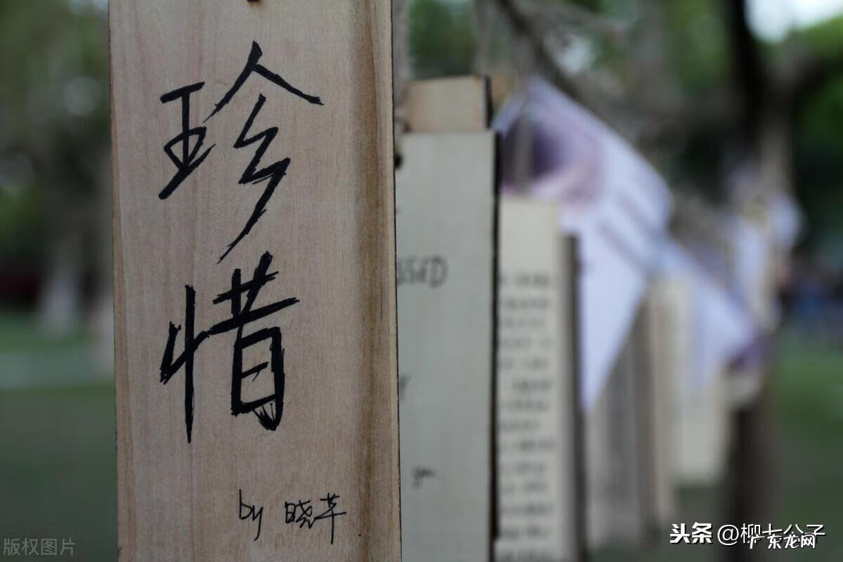 天价蓝颜 极品蓝颜