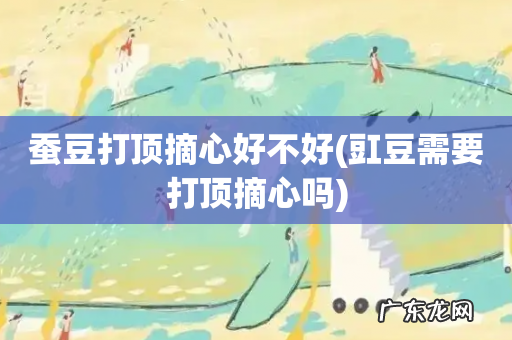 豇豆需要打顶摘心吗 蚕豆打顶摘心好不好