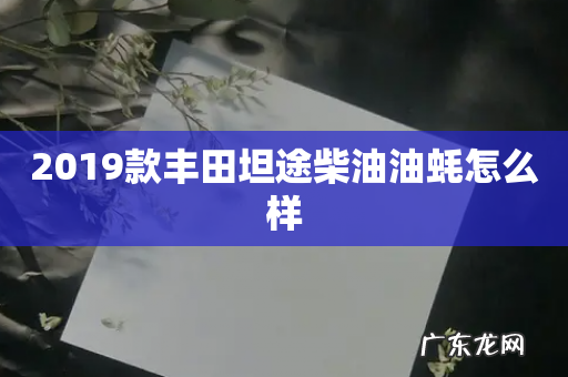 2019款丰田坦途柴油油蚝怎么样