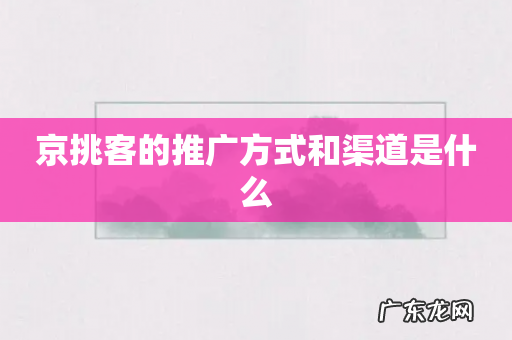 京挑客的推广方式和渠道是什么