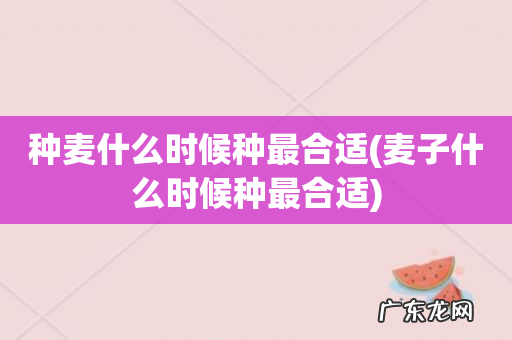 麦子什么时候种最合适 种麦什么时候种最合适