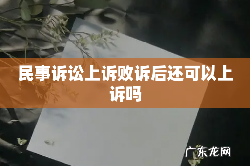 民事诉讼上诉败诉后还可以上诉吗