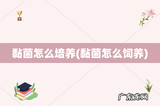 黏菌怎么饲养 黏菌怎么培养