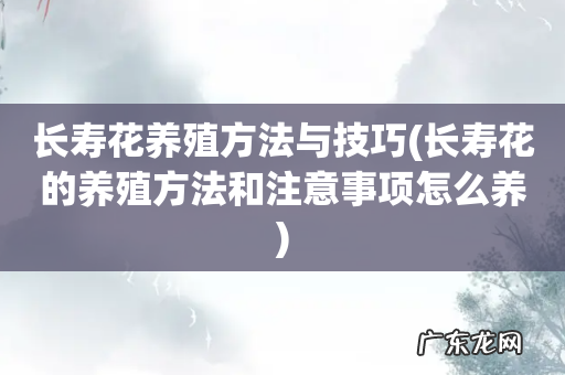 长寿花的养殖方法和注意事项怎么养 长寿花养殖方法与技巧