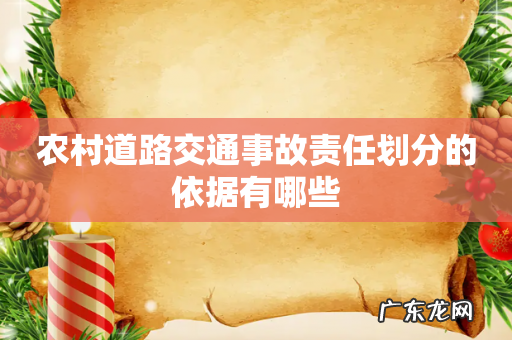 农村道路交通事故责任划分的依据有哪些