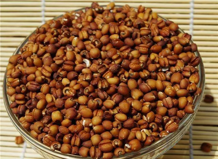 薏仁米的做法 薏米仁