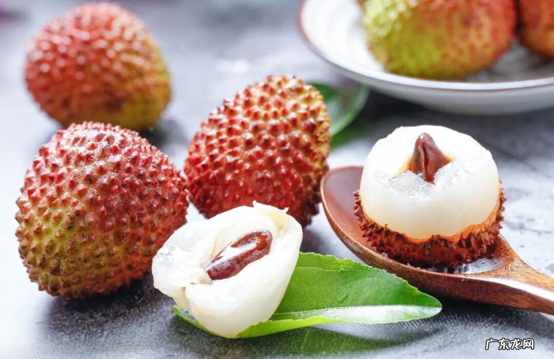 桂圆和龙眼是一个品种吗 龙眼和桂圆是同一个东西吗