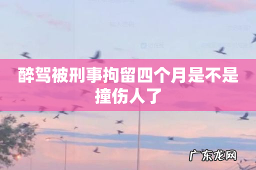 醉驾被刑事拘留四个月是不是撞伤人了