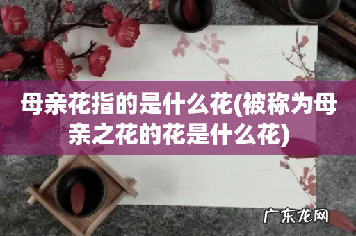 被称为母亲之花的花是什么花 母亲花指的是什么花