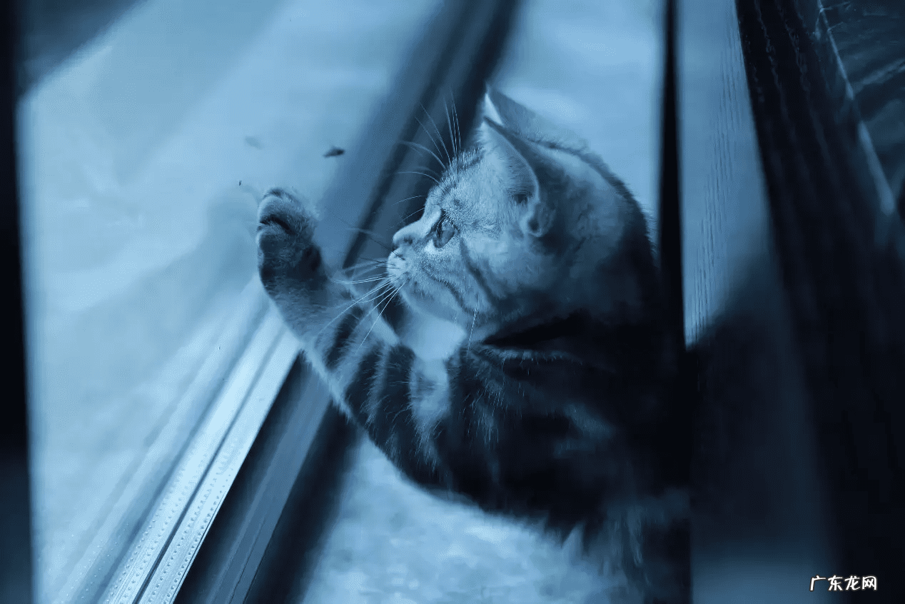 门头沟风水好吗 门头沟区玄关风水