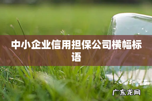 中小企业信用担保公司横幅标语