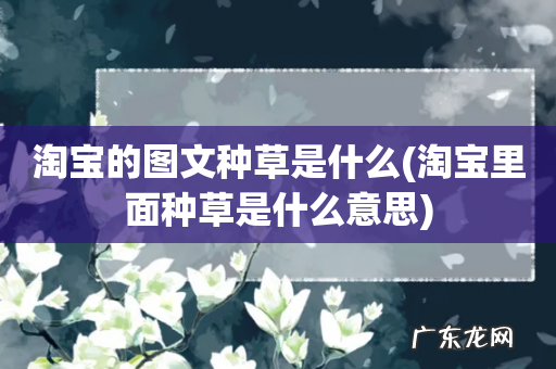 淘宝里面种草是什么意思 淘宝的图文种草是什么