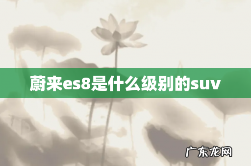 蔚来es8是什么级别的suv