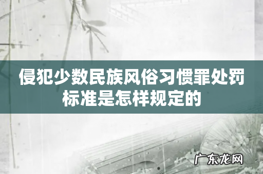 侵犯少数民族风俗习惯罪处罚标准是怎样规定的