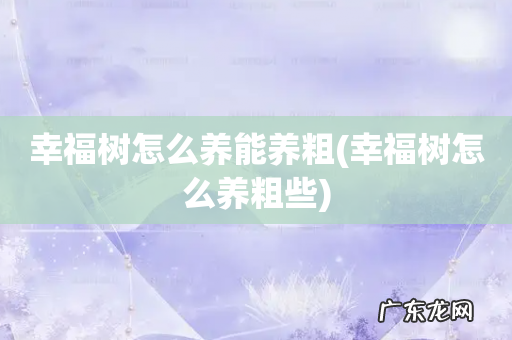 幸福树怎么养粗些 幸福树怎么养能养粗