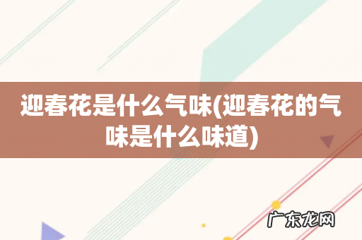 迎春花的气味是什么味道 迎春花是什么气味