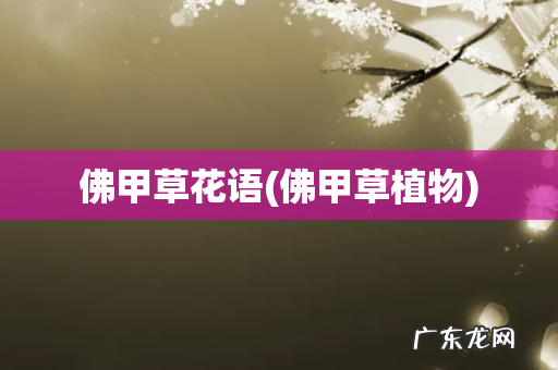佛甲草植物 佛甲草花语