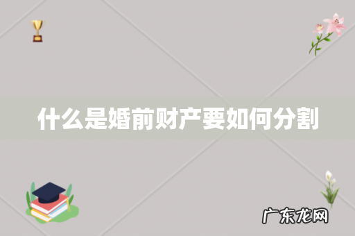 什么是婚前财产要如何分割