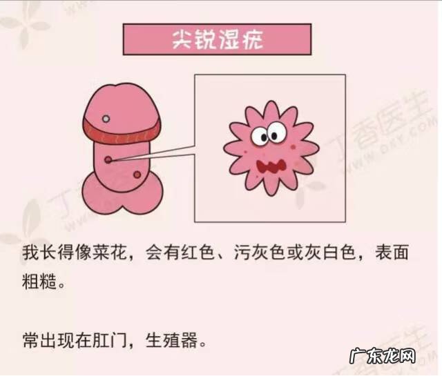 男性得了性疾病有什么症状图片 性疾病有哪几种都有哪些明显症状
