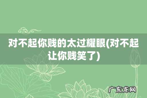 对不起让你贱笑了 对不起你贱的太过耀眼