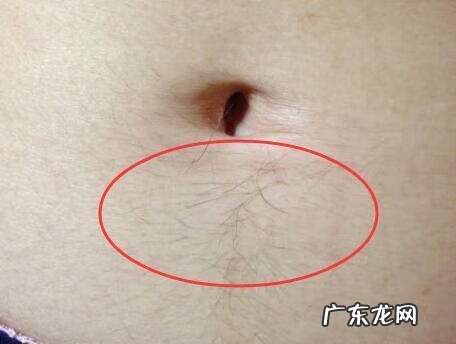 肚脐上长一根毛代表什么风水 肚脐下方长一根毛风水