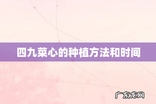 四九菜心的种植方法和时间