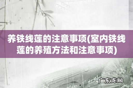 室内铁线莲的养殖方法和注意事项 养铁线莲的注意事项