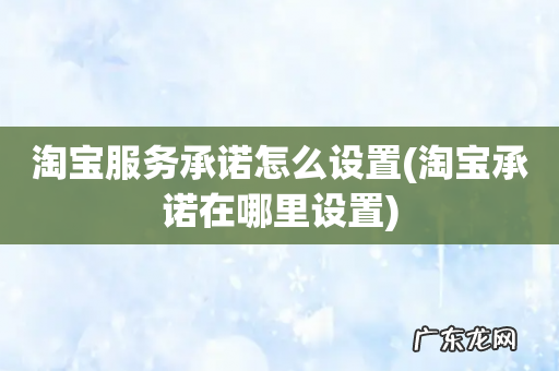 淘宝承诺在哪里设置 淘宝服务承诺怎么设置
