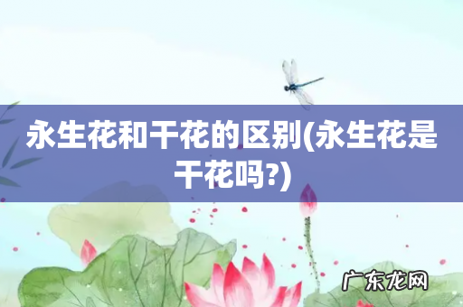 永生花是干花吗? 永生花和干花的区别