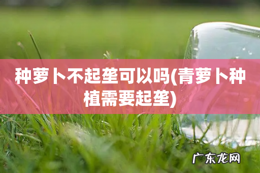 青萝卜种植需要起垄 种萝卜不起垄可以吗