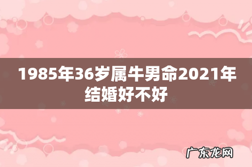 1985年36岁属牛男命2021年结婚好不好