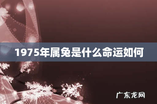1975年属兔是什么命运如何