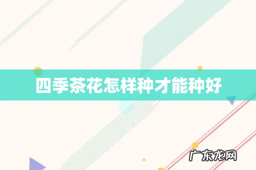 四季茶花怎样种才能种好