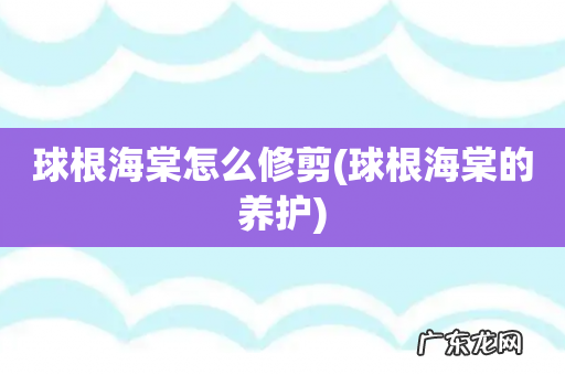 球根海棠的养护 球根海棠怎么修剪