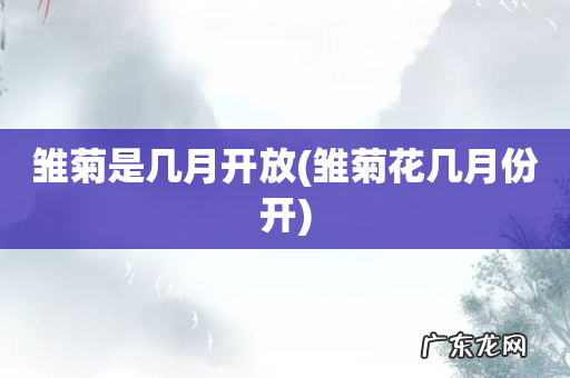 雏菊花几月份开 雏菊是几月开放